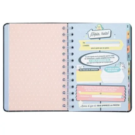 MR AGENDA ANUAL 2025 SEMANAL SOÑAR LOGRAR Y VOLVER A EMPEZAR AGENDA ANUAL 2025 17x12x2 Cms. - Imagen 4