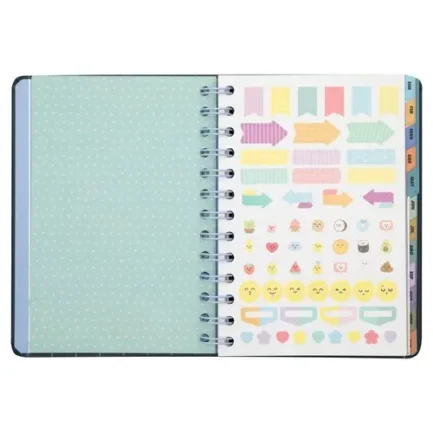 MR AGENDA ANUAL 2025 SEMANAL SOÑAR LOGRAR Y VOLVER A EMPEZAR AGENDA ANUAL 2025 17x12x2 Cms. - Imagen 3