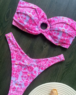 Women Bikinis Set 2025 Fashion Print Padded Strapless Bra and Thong Swimsuits Sexy two piece Bathing Suit Brazilian Biquini